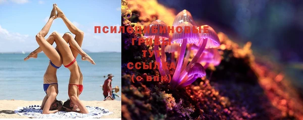 каннабис Белокуриха