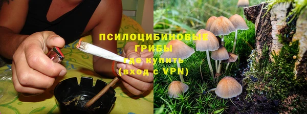прущие грибы Белоозёрский