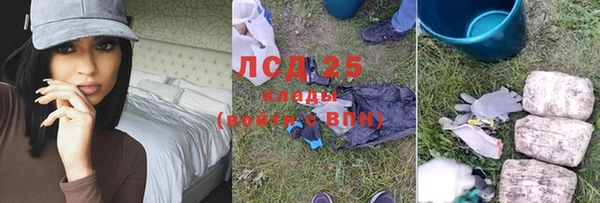 прущие грибы Белоозёрский