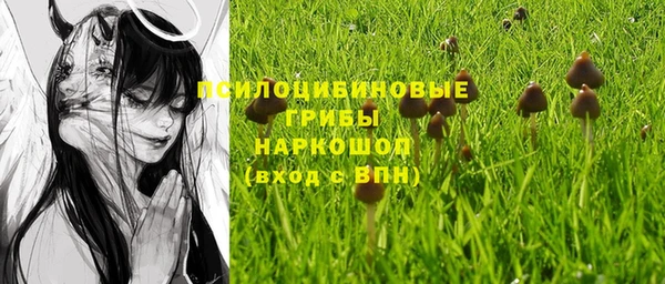 каннабис Белокуриха