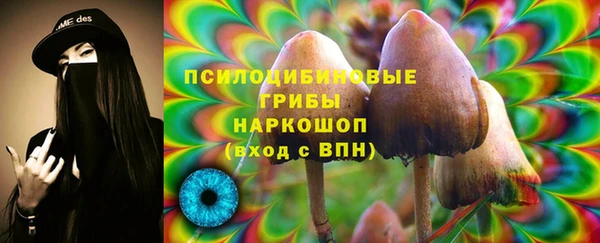 каннабис Белокуриха