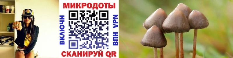 Галлюциногенные грибы Magic Shrooms  Купить  Колпашево 